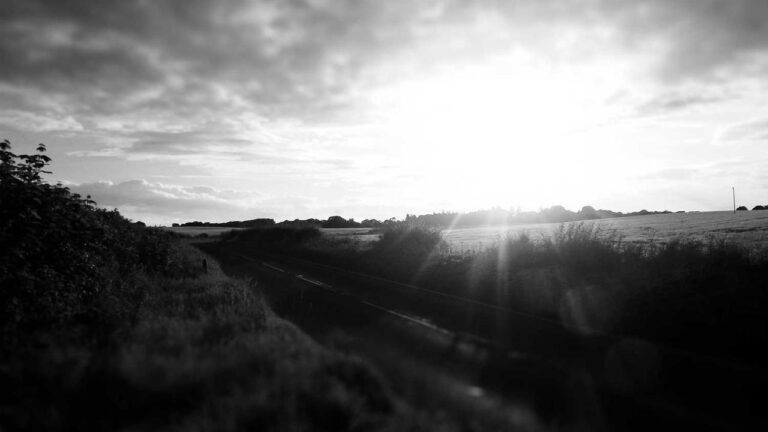 How To Visit Cricbet99 Club Official Website?